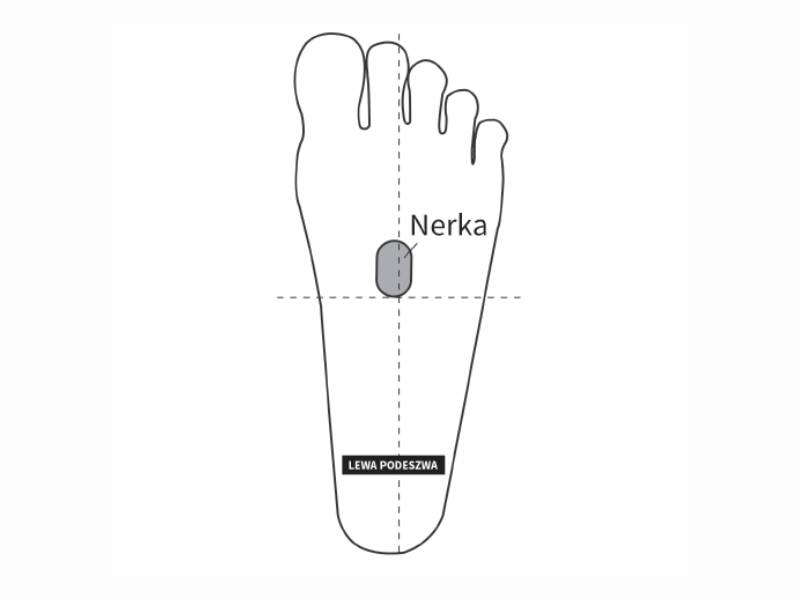 Receptory na stopach - punkt Nerki (zdjęcie pochodzi z książki Refleksologia w praktyce autorstwa Holly Tse)