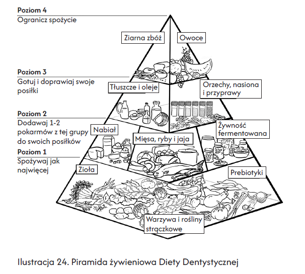 Piramida żywieniowa diety dentystycznej