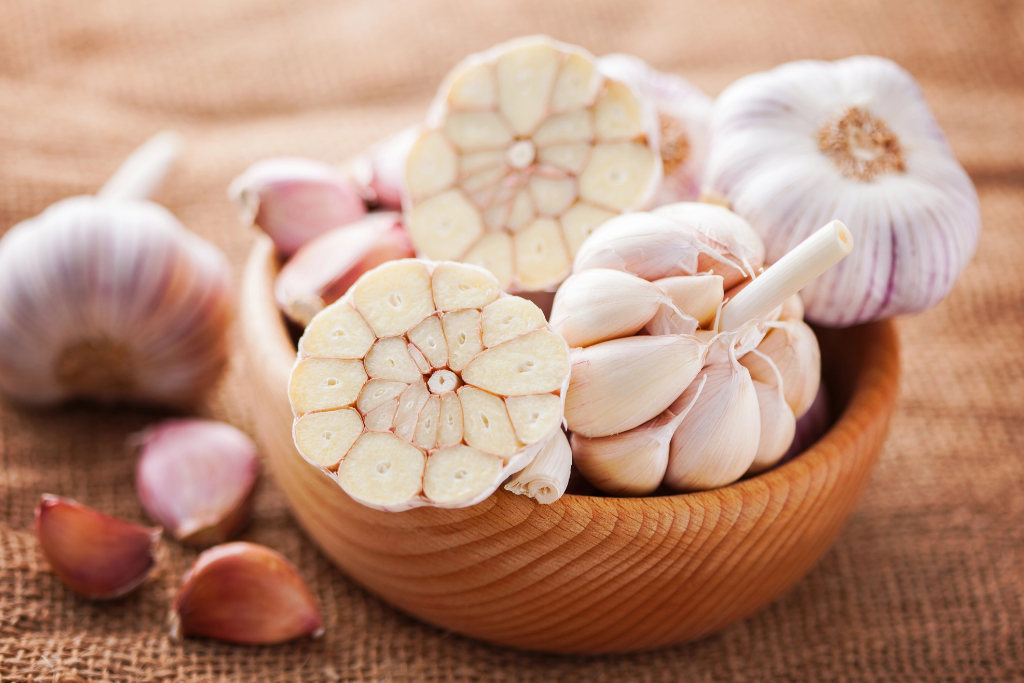 czosnek